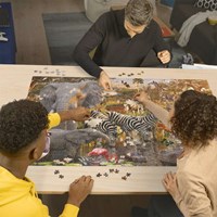 Ravensburger puzzel Afrikaanse dierenwereld - Legpuzzel - 3000 stukjes dieren-3